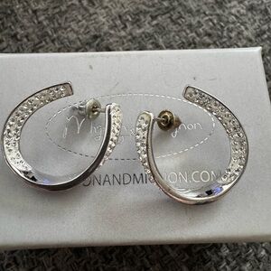 Elegant Silver Hoop Earrings